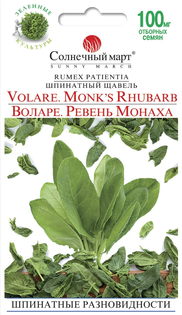 Щавель Ревень монаха